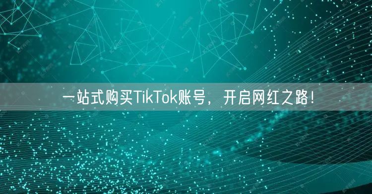 一站式购买TikTok账号，开启网红之路！