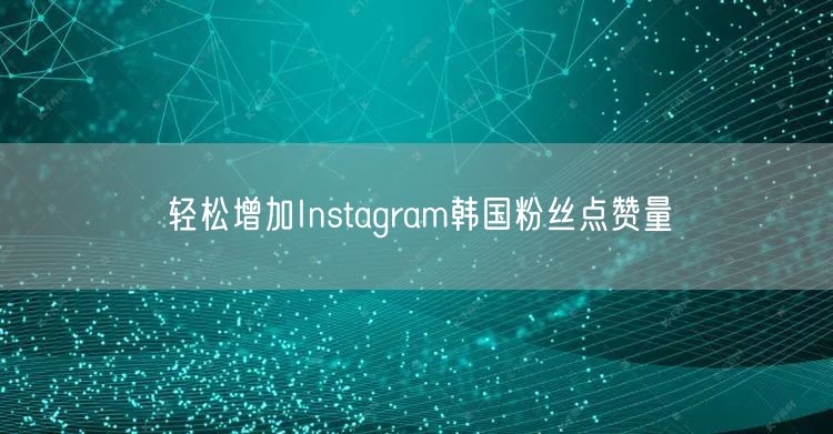 轻松增加Instagram韩国粉丝点赞量