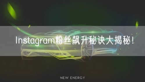 Instagram粉丝飙升秘诀大揭秘！