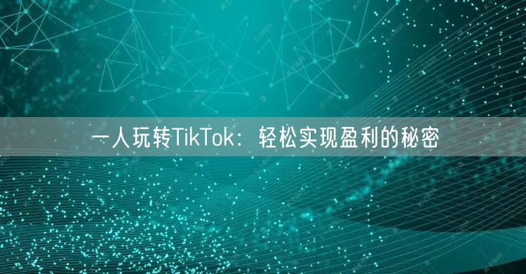 一人玩转TikTok：轻松实现盈利的秘密