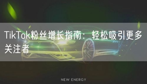 TikTok粉丝增长指南：轻松吸引更多关注者