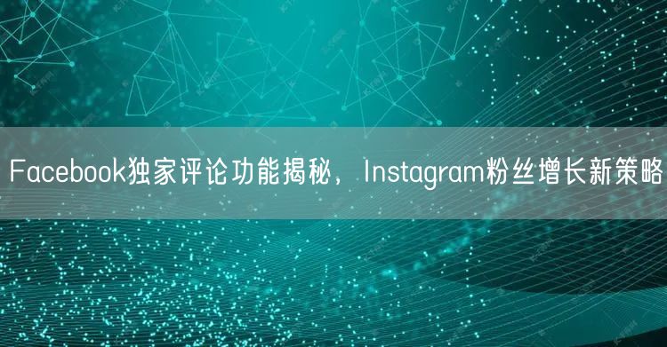 Facebook独家评论功能揭秘，Instagram粉丝增长新策略