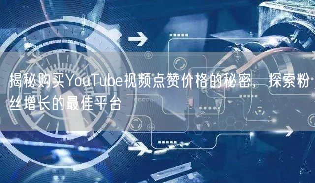 揭秘购买YouTube视频点赞价格的秘密，探索粉丝增长的最佳平台