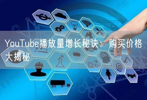 YouTube播放量增长秘诀：购买价格大揭秘