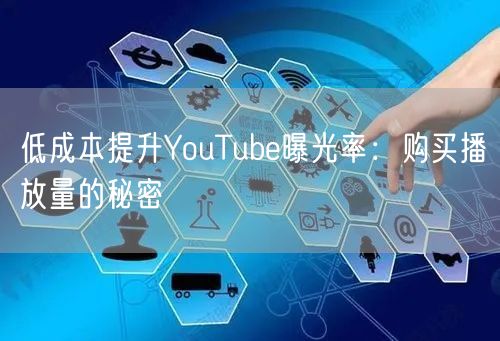 低成本提升YouTube曝光率：购买播放量的秘密