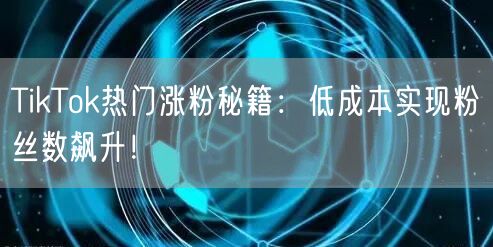TikTok热门涨粉秘籍：低成本实现粉丝数飙升！
