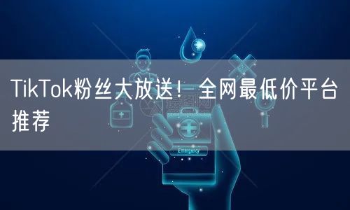 TikTok粉丝大放送！全网最低价平台推荐