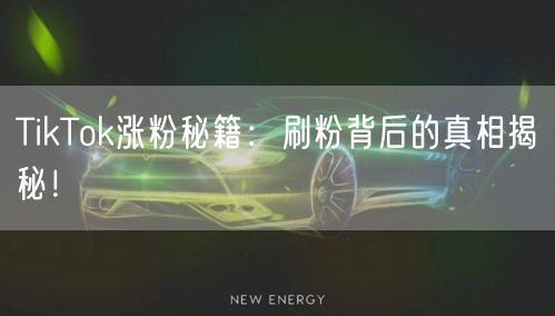 TikTok涨粉秘籍：刷粉背后的真相揭秘！
