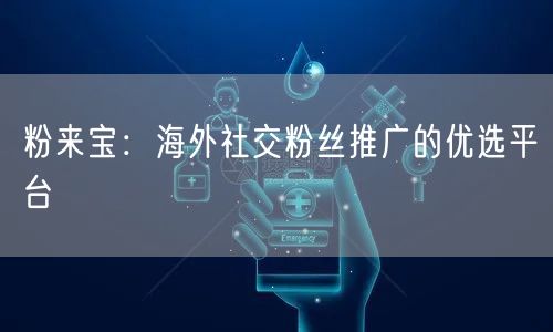 粉来宝：海外社交粉丝推广的优选平台