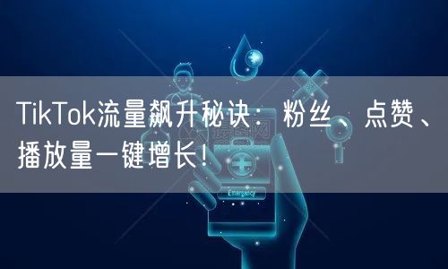 TikTok流量飙升秘诀：粉丝、点赞、播放量一键增长！