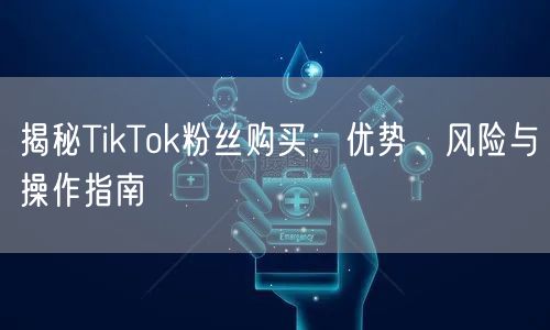 揭秘TikTok粉丝购买：优势、风险与操作指南