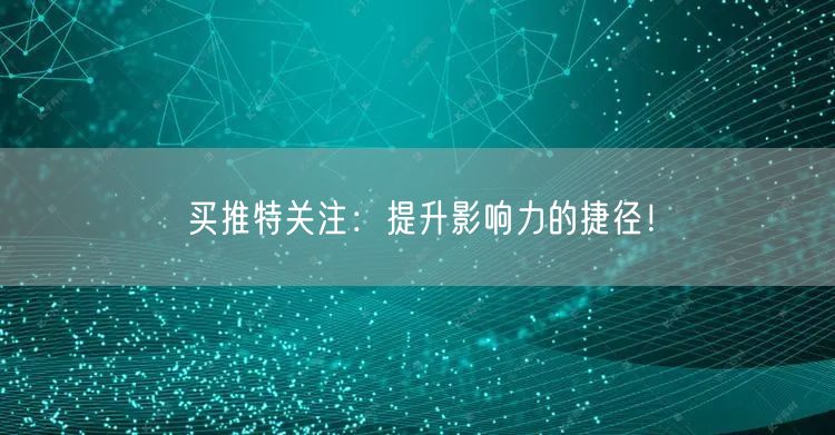 买推特关注：提升影响力的捷径！