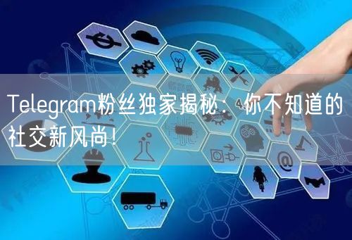Telegram粉丝独家揭秘：你不知道的社交新风尚！