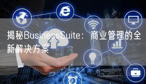 揭秘BusinessSuite：商业管理的全新解决方案