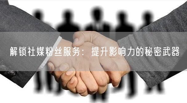 解锁社媒粉丝服务：提升影响力的秘密武器