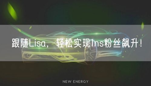 跟随Lisa,轻松实现Ins粉丝飙升!