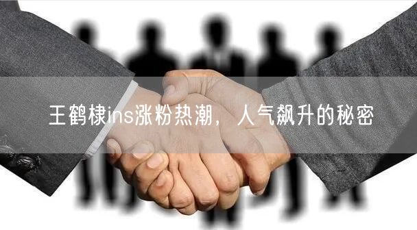王鹤棣ins涨粉热潮，人气飙升的秘密