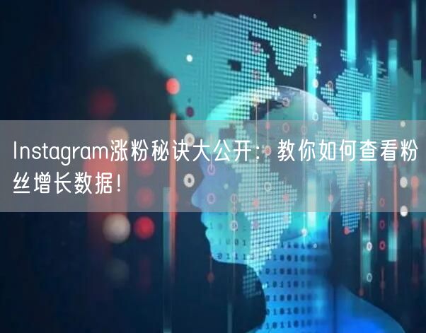 Instagram涨粉秘诀大公开：教你如何查看粉丝增长数据！