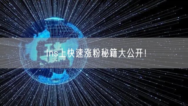 Ins上快速涨粉秘籍大公开！