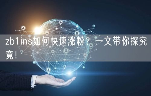 zb1ins如何快速涨粉？一文带你探究竟！