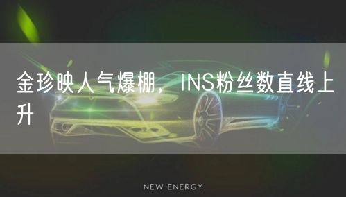 金珍映人气爆棚，INS粉丝数直线上升