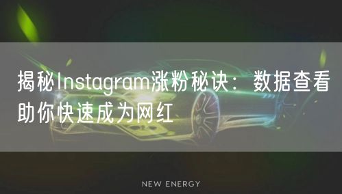 揭秘Instagram涨粉秘诀：数据查看助你快速成为网红