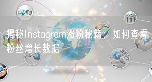 揭秘Instagram涨粉秘籍：如何查看粉丝增长数据