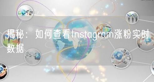 揭秘：如何查看Instagram涨粉实时数据