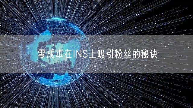 零成本在INS上吸引粉丝的秘诀
