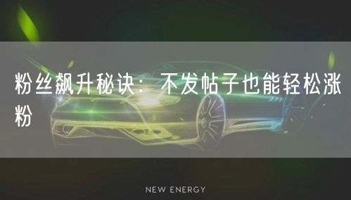 粉丝飙升秘诀：不发帖子也能轻松涨粉