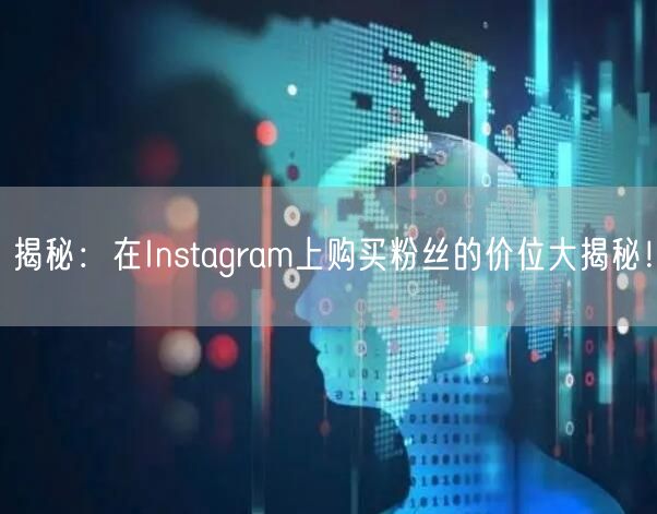 揭秘：在Instagram上购买粉丝的价位大揭秘！