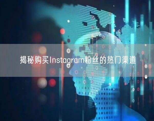 揭秘购买Instagram粉丝的热门渠道