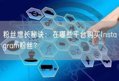 粉丝增长秘诀：在哪些平台购买Instagram粉丝？