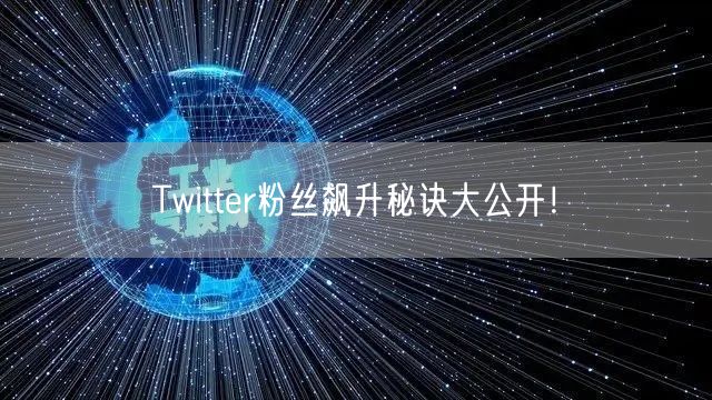 Twitter粉丝飙升秘诀大公开！