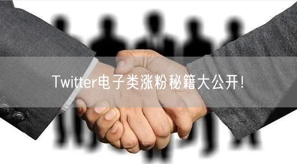 Twitter电子类涨粉秘籍大公开！