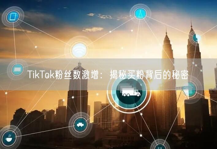 TikTok粉丝数激增：揭秘买粉背后的秘密
