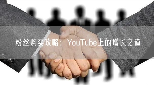 粉丝购买攻略：YouTube上的增长之道
