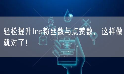 轻松提升Ins粉丝数与点赞数，这样做就对了！