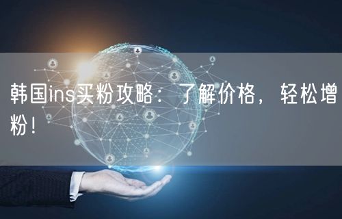 韩国ins买粉攻略：了解价格，轻松增粉！