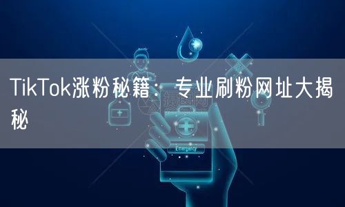 TikTok涨粉秘籍：专业刷粉网址大揭秘