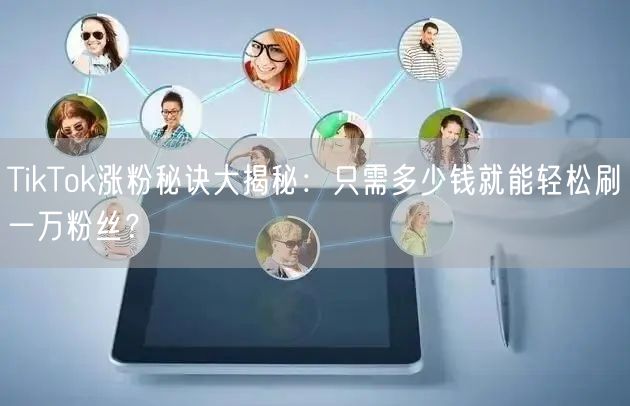 TikTok涨粉秘诀大揭秘：只需多少钱就能轻松刷一万粉丝？