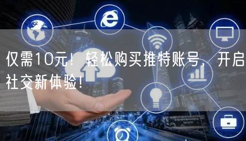 仅需10元！轻松购买推特账号，开启社交新体验！
