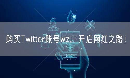 购买Twitter账号wz，开启网红之路！