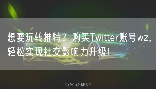 想要玩转推特？购买Twitter账号wz，轻松实现社交影响力升级！