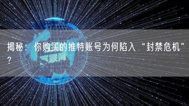 揭秘：你购买的推特账号为何陷入“封禁危机”？