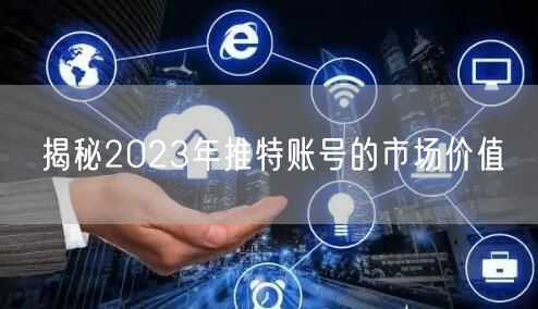 揭秘2023年推特账号的市场价值