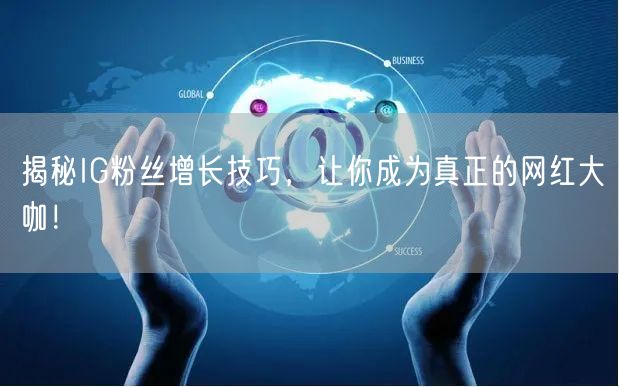 揭秘IG粉丝增长技巧，让你成为真正的网红大咖！