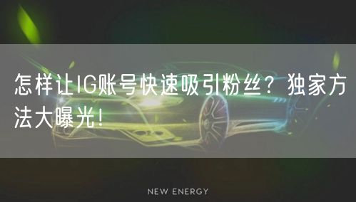 怎样让IG账号快速吸引粉丝？独家方法大曝光！