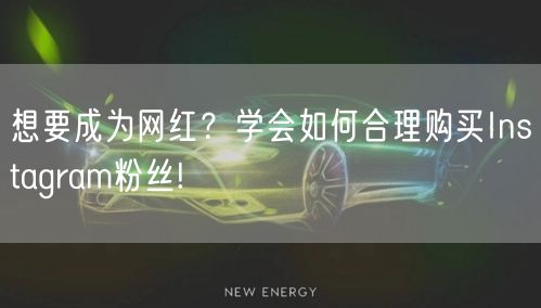 想要成为网红？学会如何合理购买Instagram粉丝!
