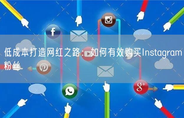 低成本打造网红之路：如何有效购买Instagram粉丝